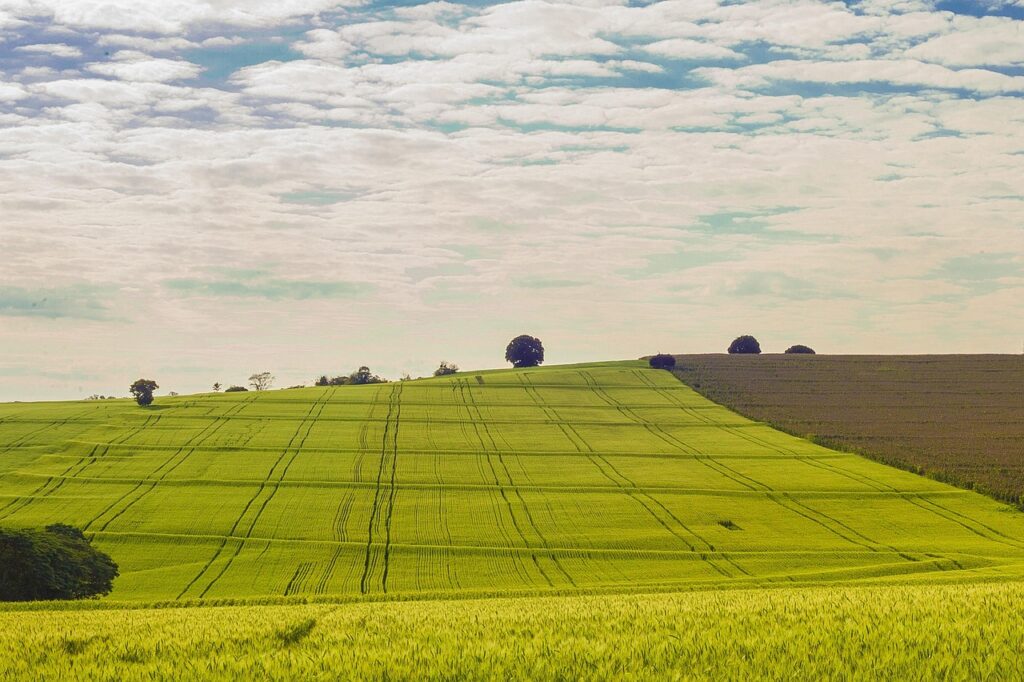 Financing Your Land Purchase What You Need to Know (2)
