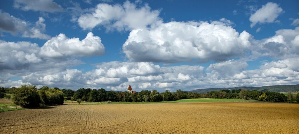 Land Purchase (2)